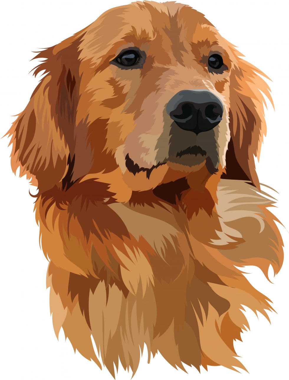 Kids In Motion Therapy Clinic Physical, Occupational & Speech Therapy